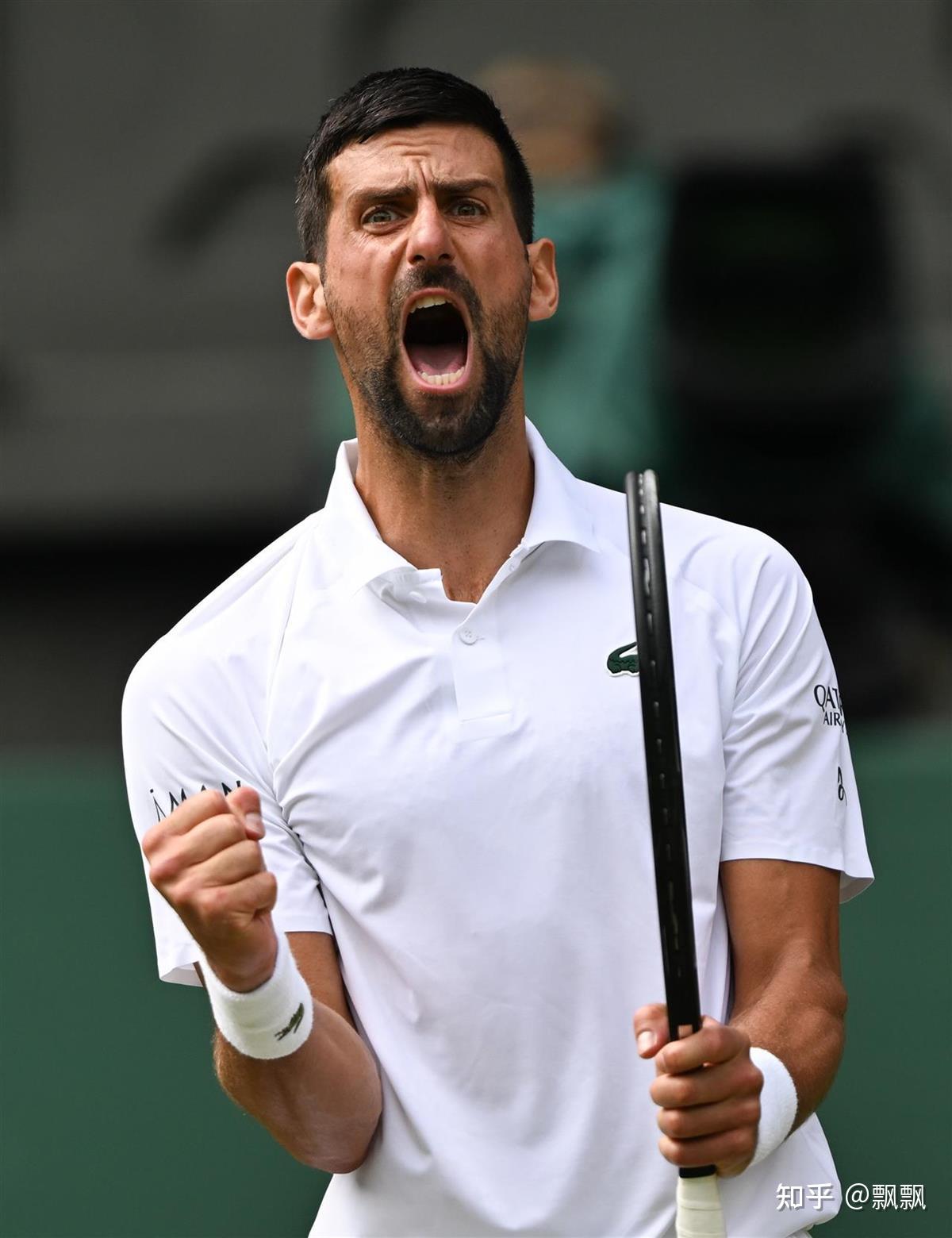 包含温网碾压年终总决赛,德约科维奇扛起全队的词条 包含温网碾压年终总决赛,德约科维奇扛起全队的词条